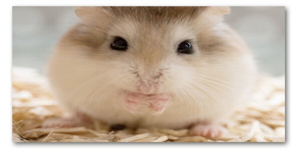 Imagine de sticlă Hamster