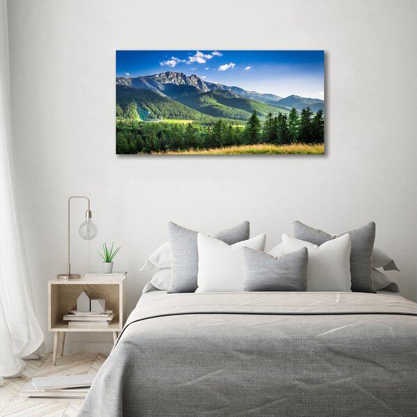 Print pe canvas Dealul din Tatra