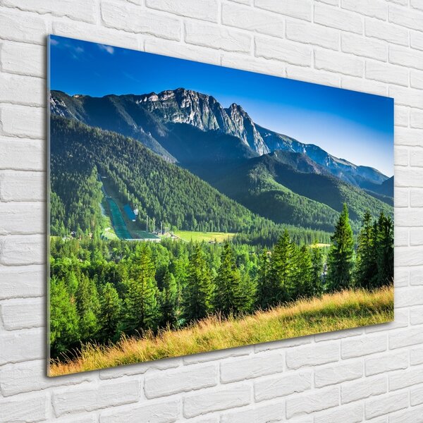 Tablou Printat Pe Sticlă Dealul din Tatra