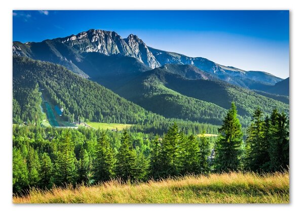 Tablou Printat Pe Sticlă Dealul din Tatra