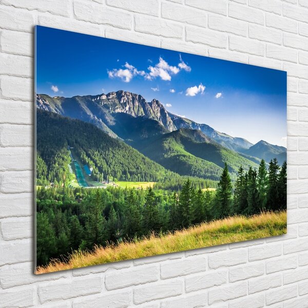 Tablou Printat Pe Sticlă Dealul din Tatra