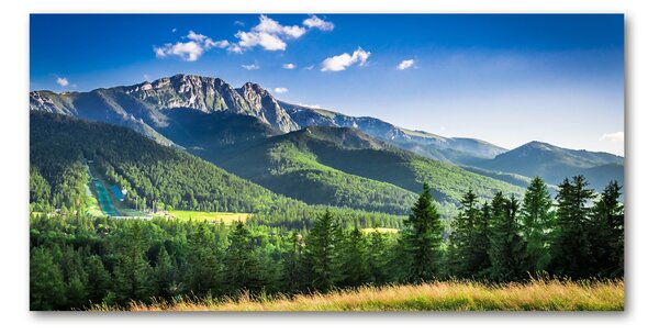 Tablou Printat Pe Sticlă Dealul din Tatra