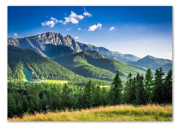 Tablou Printat Pe Sticlă Dealul din Tatra