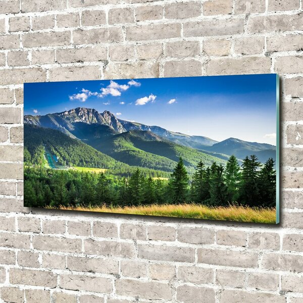 Tablou Printat Pe Sticlă Dealul din Tatra