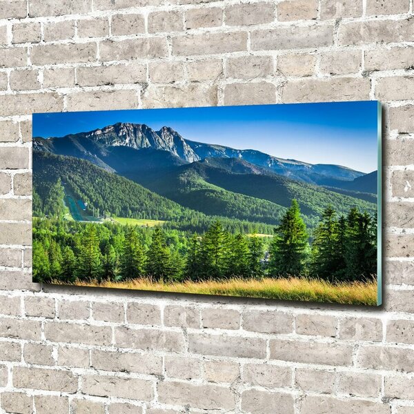 Tablou Printat Pe Sticlă Dealul din Tatra
