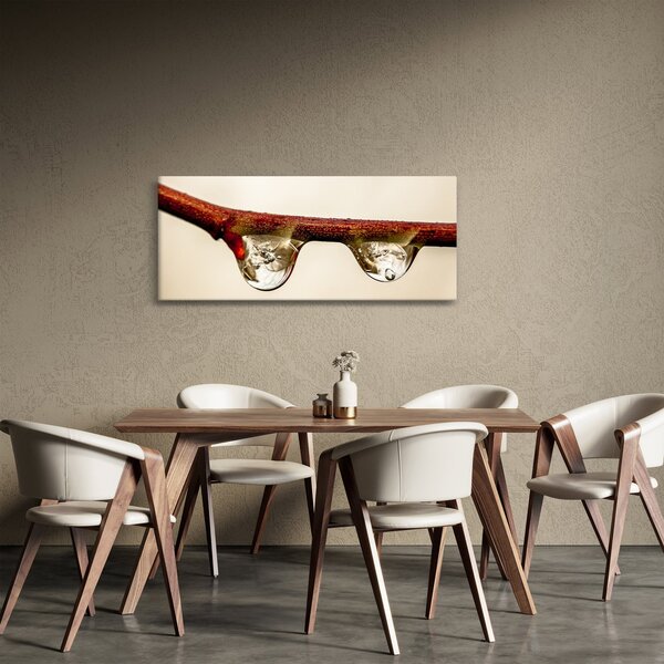Tablou cu picături de apă pe creangă (120x50 cm)