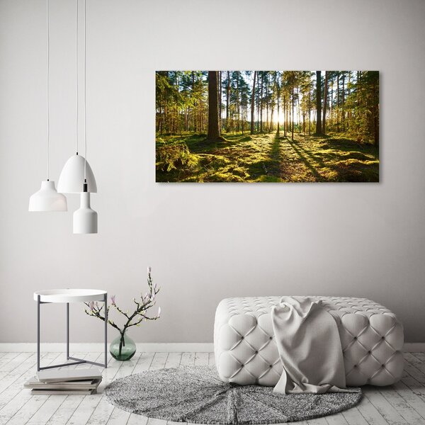 Tablou canvas o pădure de pini
