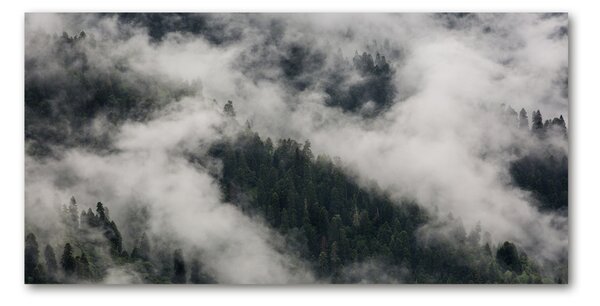 Fotografie imprimată pe sticlă Ceață peste pădure