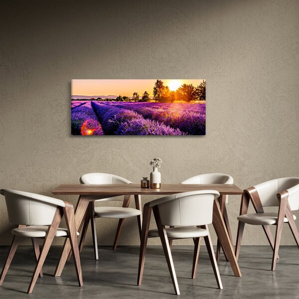 Tablou cu câmp de lavanda (120x50 cm)