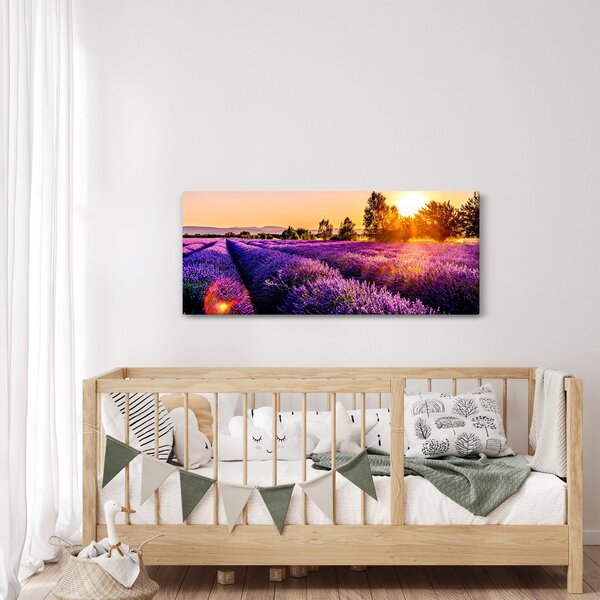 Tablou cu câmp de lavanda (120x50 cm)