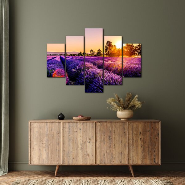 Tablou cu câmp de lavanda (150x105 cm)