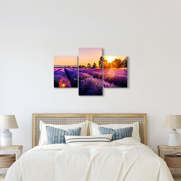 Tablou cu câmp de lavanda (90x60 cm)