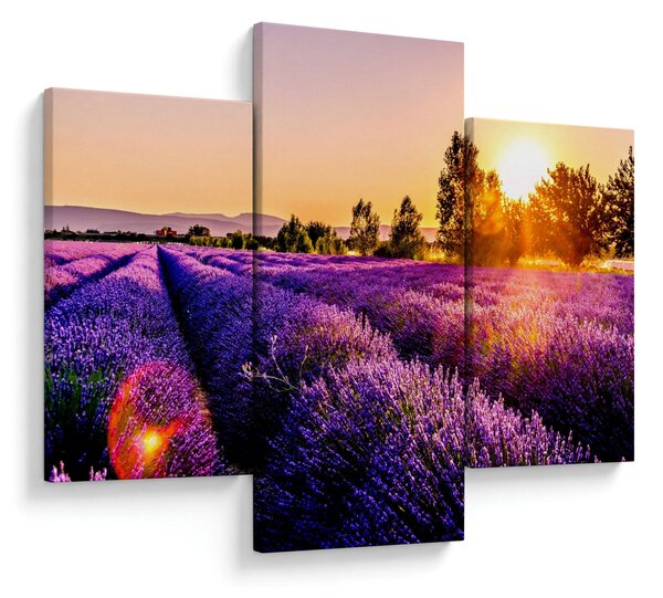 Tablou cu câmp de lavanda (90x60 cm)