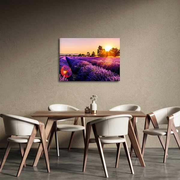 Tablou cu câmp de lavanda (70x50 cm)