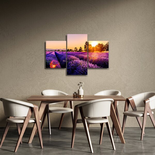 Tablou cu câmp de lavanda (90x60 cm)