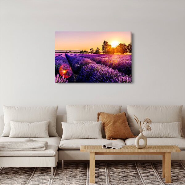 Tablou cu câmp de lavanda (90x60 cm)