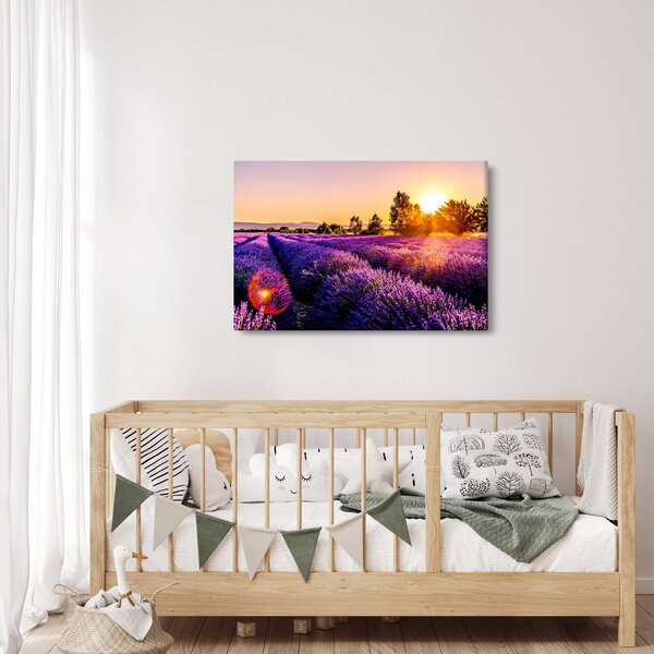 Tablou cu câmp de lavanda (90x60 cm)