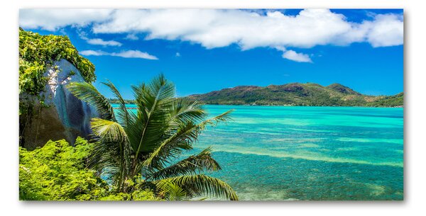 Imagine de sticlă Seychelles Coast