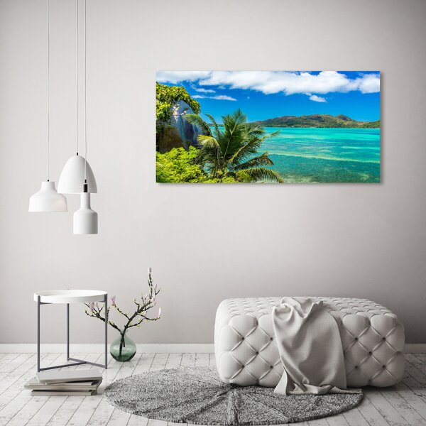 Tablou canvas Seychelles Coast