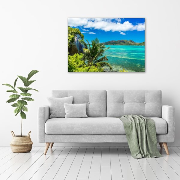 Tablou canvas Seychelles Coast