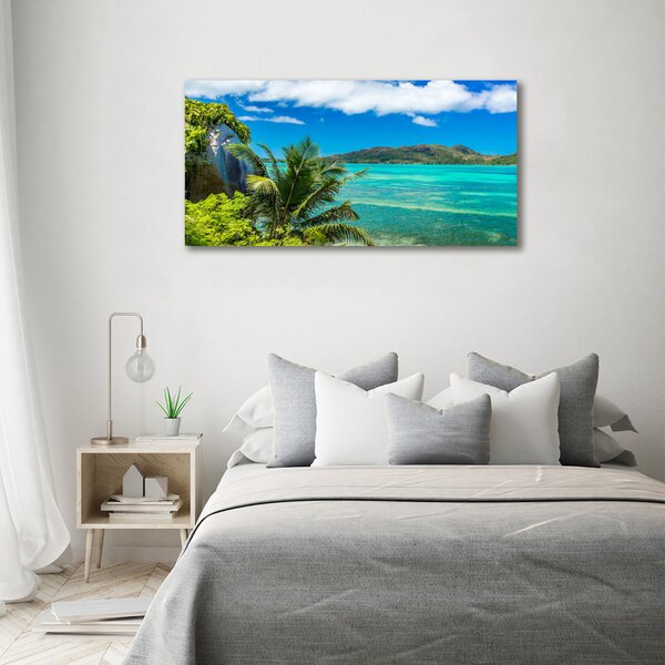 Tablou canvas Seychelles Coast