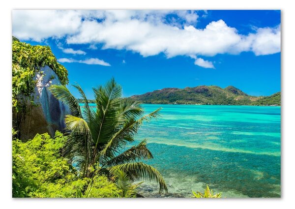Imagine de sticlă Seychelles Coast