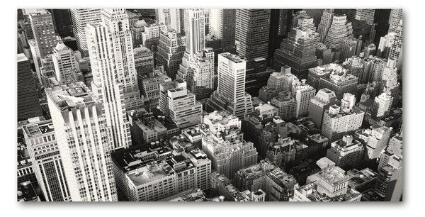 Tablou pe pe sticlă New York pasăre de zbor