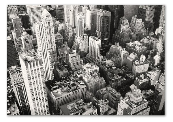 Tablou pe pe sticlă New York pasăre de zbor
