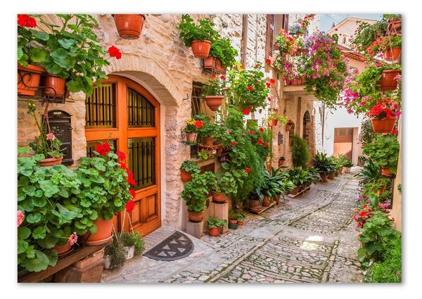 Tablou Printat Pe Sticlă stradă fermecătoare