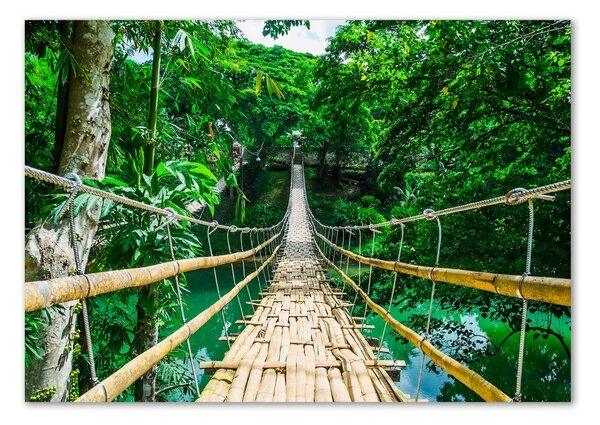 Tablou sticlă Cele mai multe Rainforest