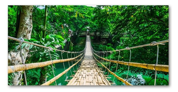 Tablou sticlă Cele mai multe Rainforest