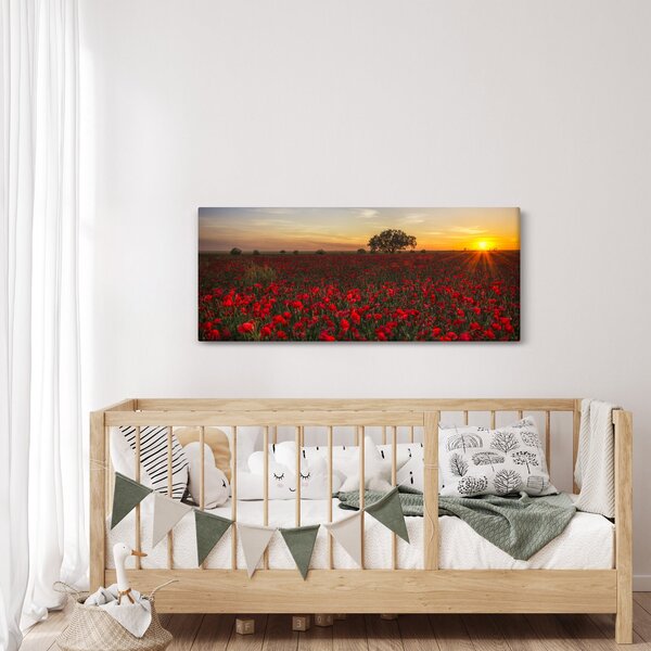 Tablou cu lunca și macii (120x50 cm)