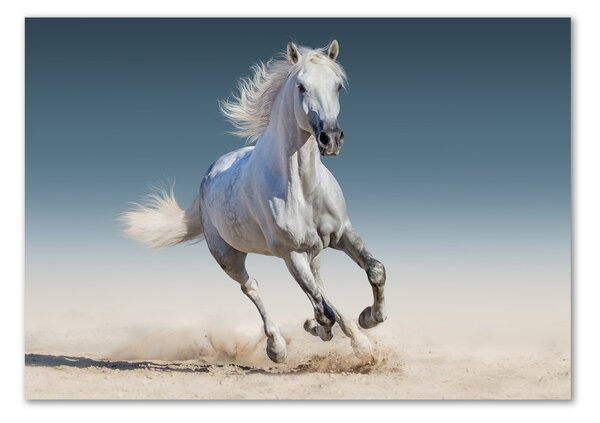 Tablou pe pe sticlă cal alb în galop