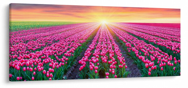 Tablou cu câmp de lalele cu soare (120x50 cm)