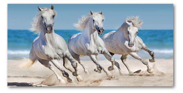 Tablou din Sticlă White Beach Horse