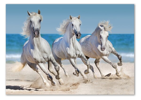 Tablou din Sticlă White Beach Horse
