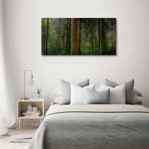 Tablou canvas Ceață în pădure