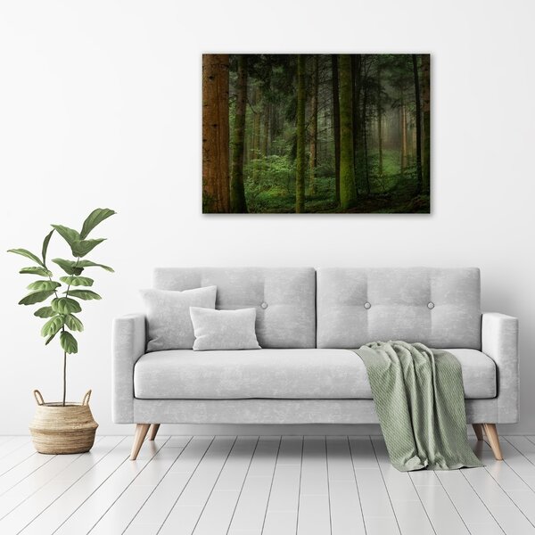 Tablou canvas Ceață în pădure