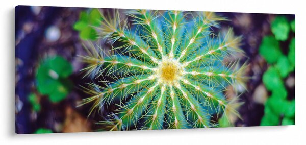 Tablou cu cactus (120x50 cm)