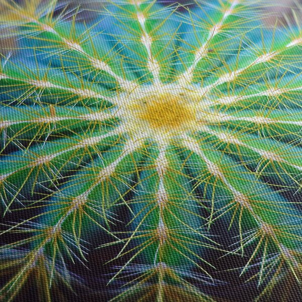 Tablou cu cactus (90x60 cm)