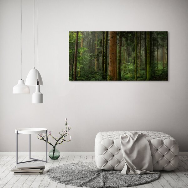 Tablou canvas Ceață în pădure