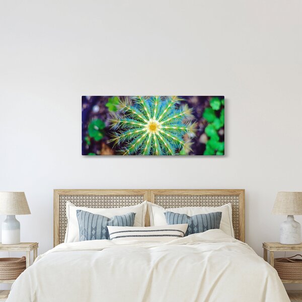 Tablou cu cactus (120x50 cm)