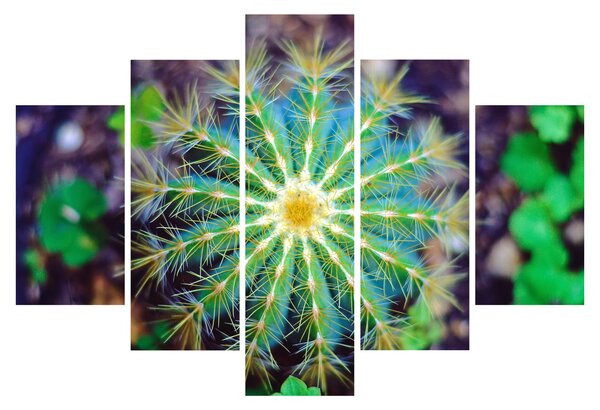 Tablou cu cactus (150x105 cm)