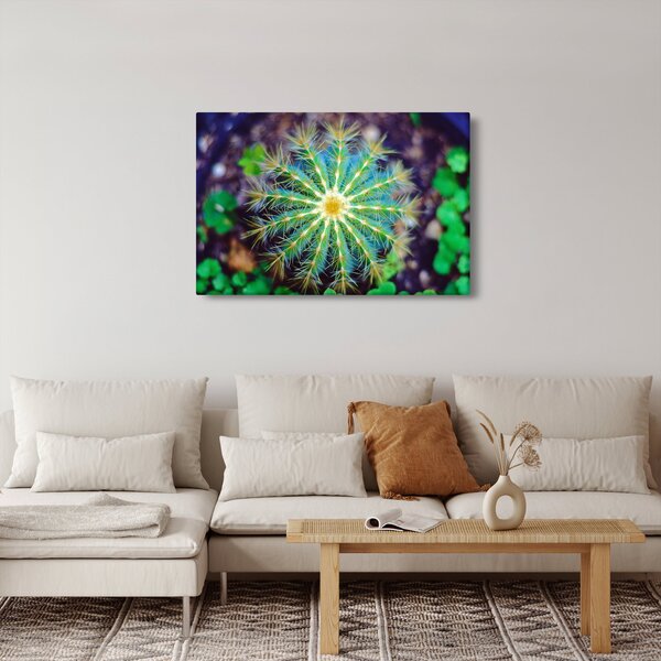 Tablou cu cactus (90x60 cm)