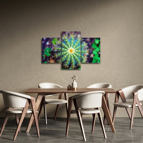 Tablou cu cactus (90x60 cm)