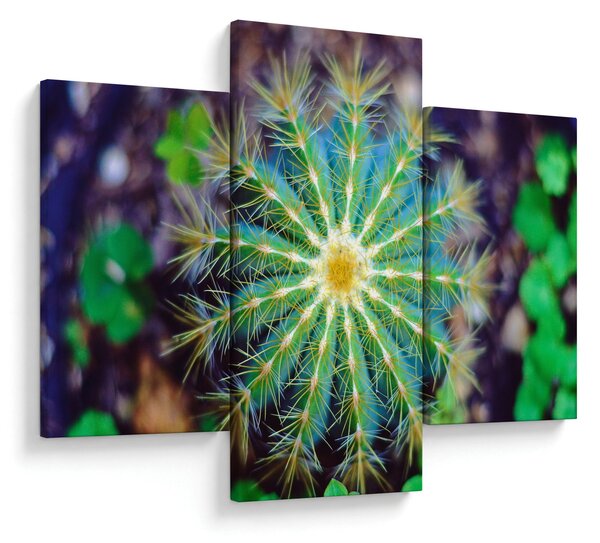 Tablou cu cactus (90x60 cm)