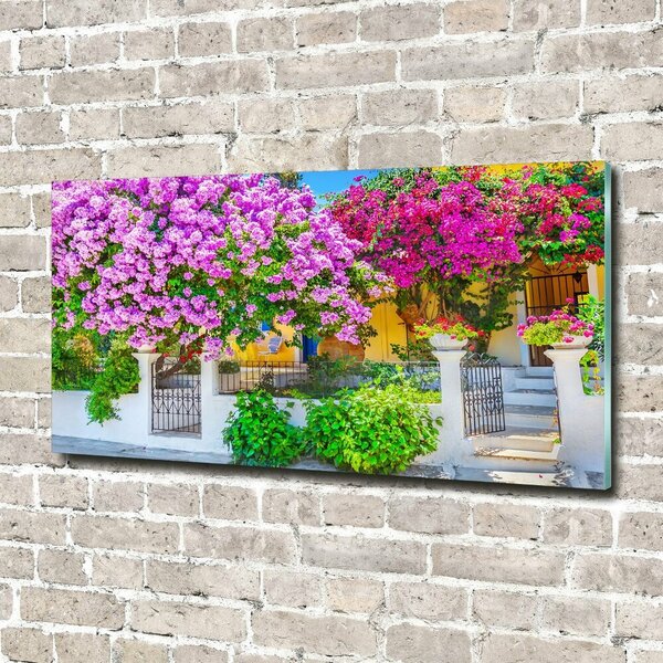 Fotografie imprimată pe sticlă Casa cu bougainvillea