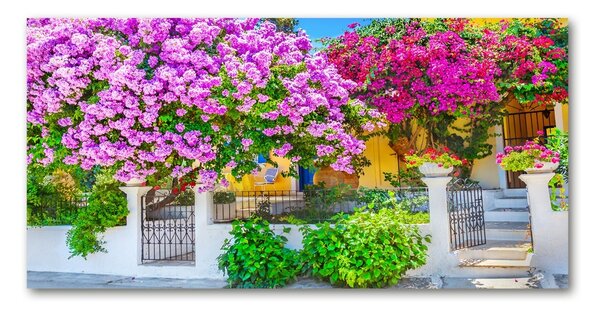 Fotografie imprimată pe sticlă Casa cu bougainvillea