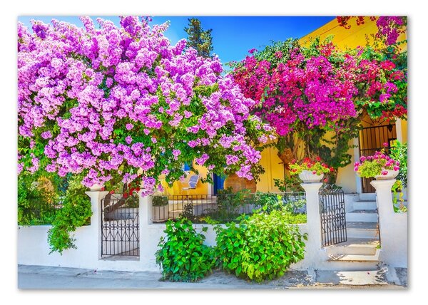 Fotografie imprimată pe sticlă Casa cu bougainvillea