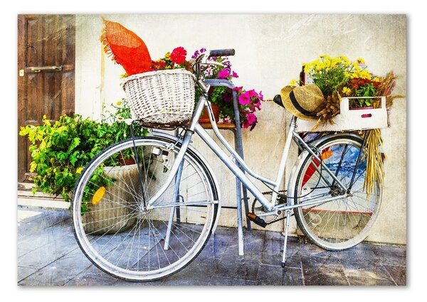 Tablou din Sticlă bicicletă alb